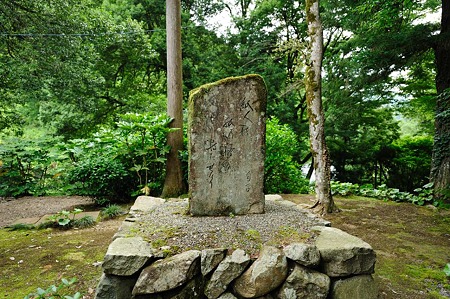 1106230933_DSC_1884