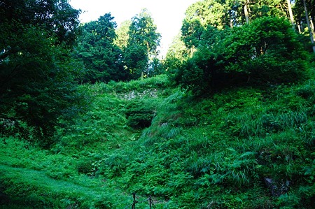 1107120620_DSC_5200