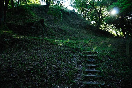 1107120720_DSC_5395