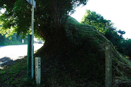 1107120725_DSC_5419