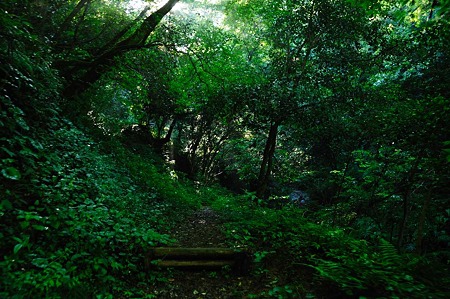 1107120754_DSC_5524