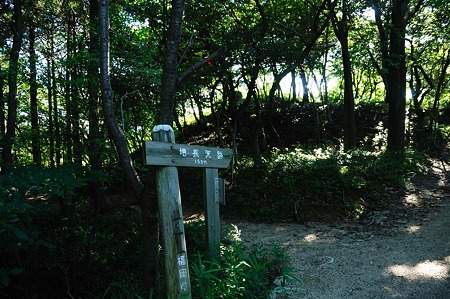 1107120758_DSC_5537