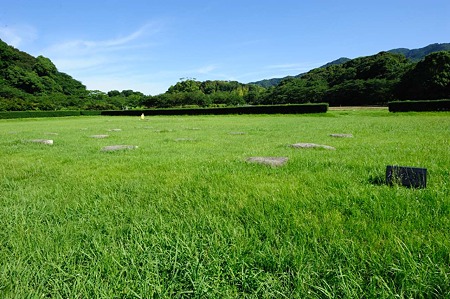 1107120839_DSC_2899