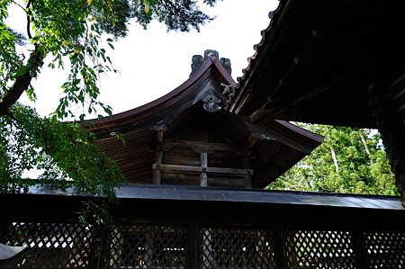 1108140838_DSC_5099