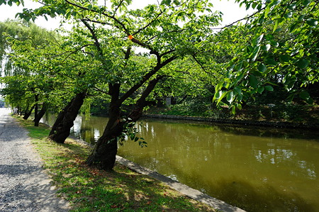 1108140844_DSC_5132