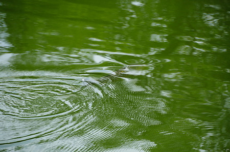 1108140900_DSC_6281