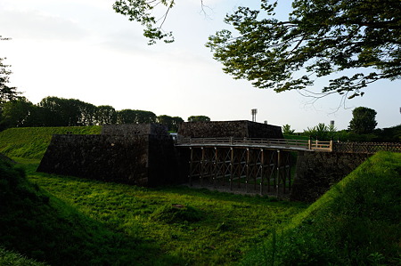 1108151737_DSC_6871