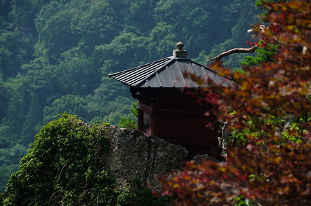 1108160941_DSC_6586
