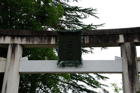 1108171043_DSC_8233