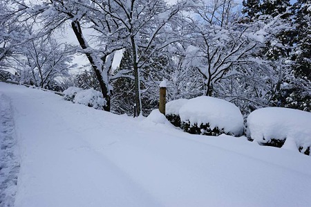 1101011359_DSC_6497