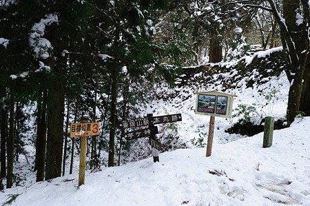 1101021237_DSC_7195