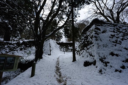 1101021237_DSC_7197