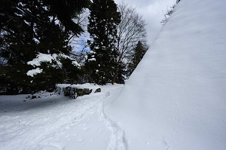 1101021241_DSC_7226