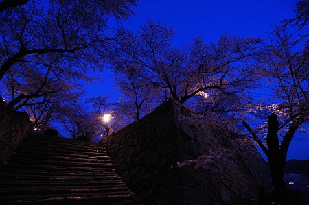 1104121856_DSC_9620