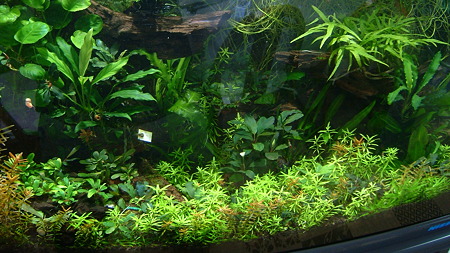 DSCF1299