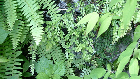 DSCF4664