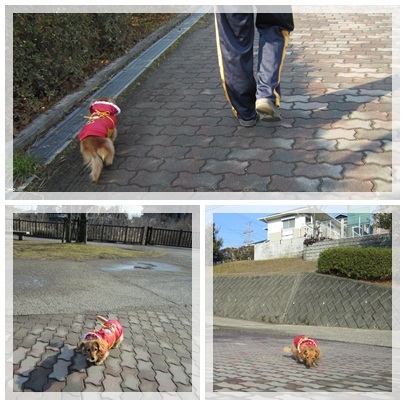 20120122 お散歩1