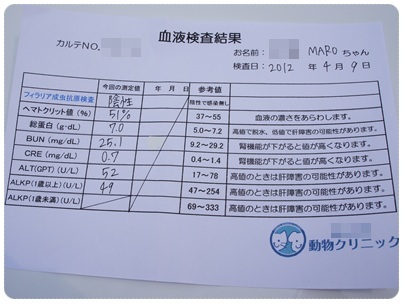 20120409 MARO血液検査 結果