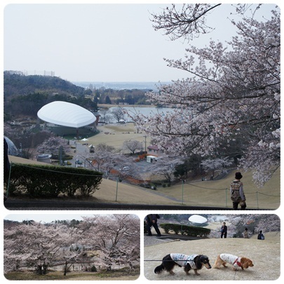 20120409 山頂からの景色