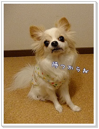 待つ