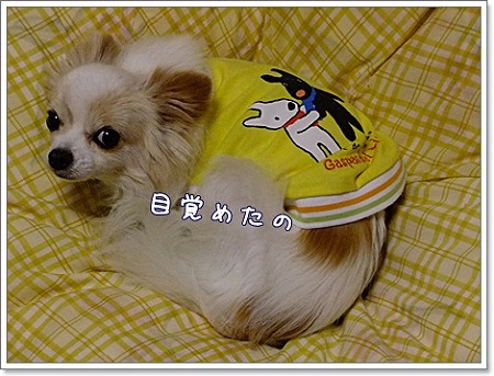 目覚めた