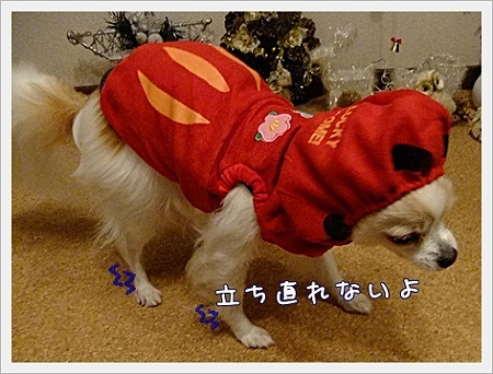 立ち直れないよ