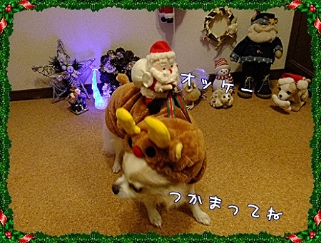 つかまって