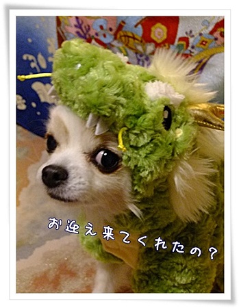 お迎え