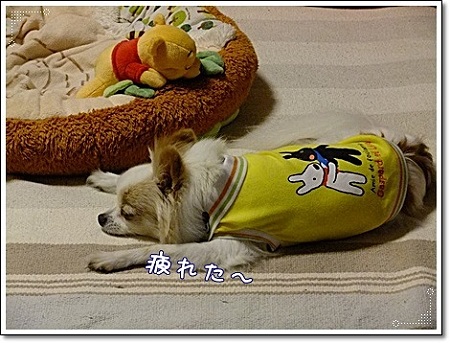 疲れた~