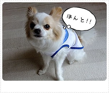 ほんと?