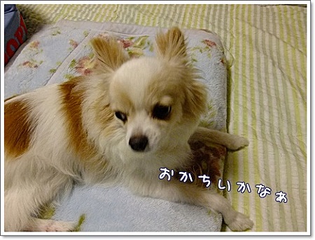 おかしい