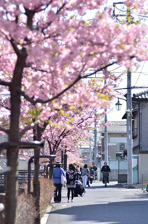 春の路ゆく