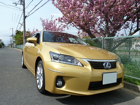 20120421_八重桜 (2)