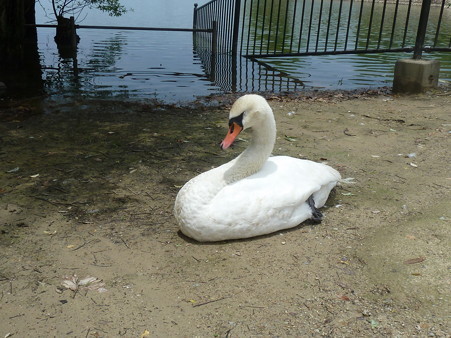 20120617_