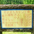 すがちょうキャンプ場料金表