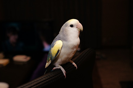 DSC01230