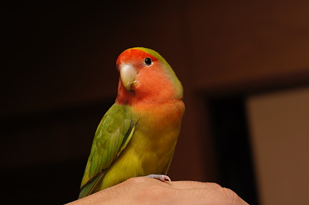 DSC01401