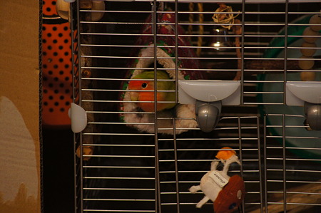 DSC01895