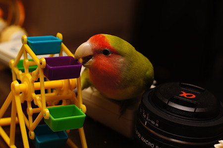 DSC01604